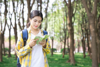 中职高职学校