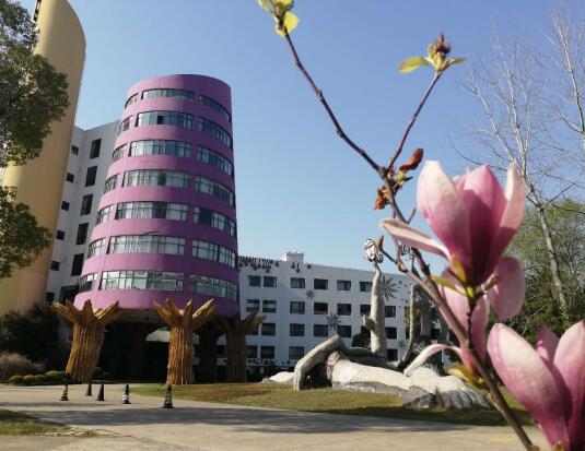 中职高职学校