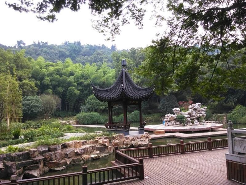 中职高职学校
