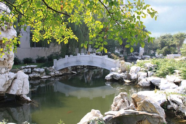 中职高职学校